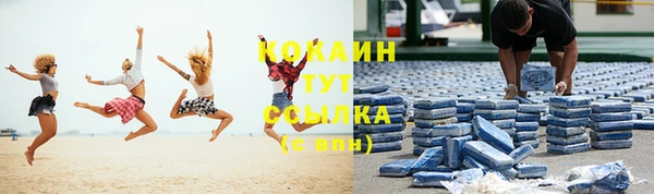 крисы Гусь-Хрустальный