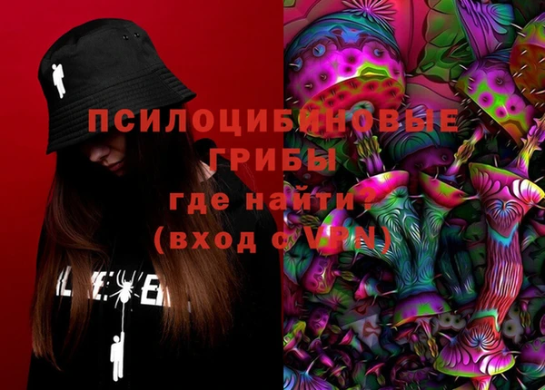 стафф Горнозаводск