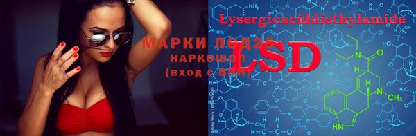 ешки Горняк