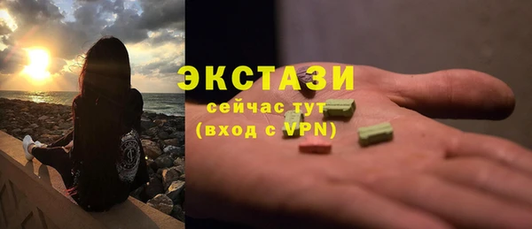 ешки Горняк