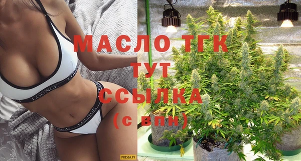 ешки Горняк