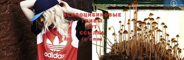 крисы Гусь-Хрустальный