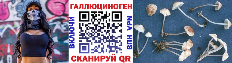 Псилоцибиновые грибы MAGIC MUSHROOMS  shop как зайти  Волгодонск 