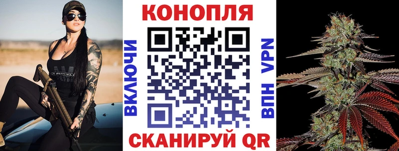 как найти наркотики  Волгодонск  МАРИХУАНА ГИДРОПОН 